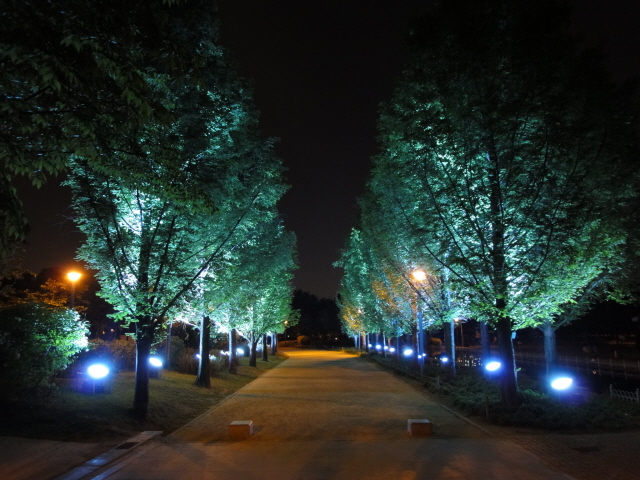 [DSC-WX1] 003.jpg